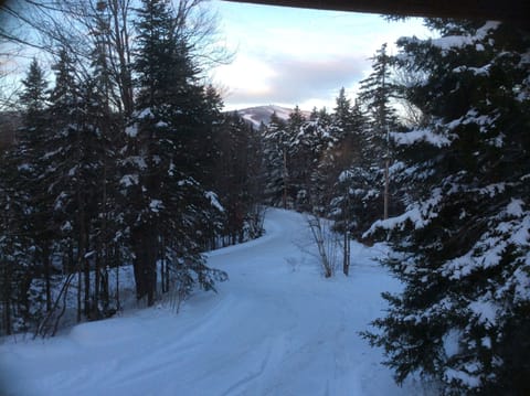 View of Mount Snow from Living room.