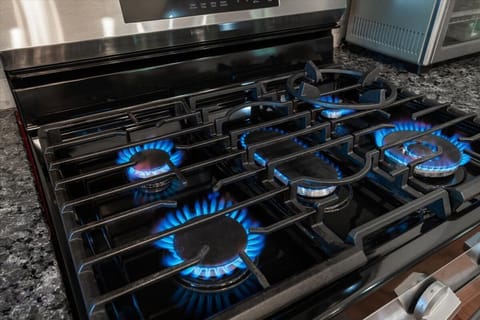 Gas Range for the Chef