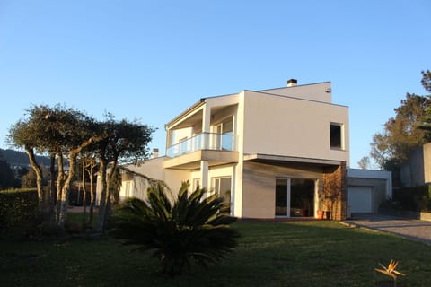 Exterior garden