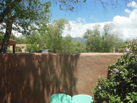 Mountain View From Dining Room