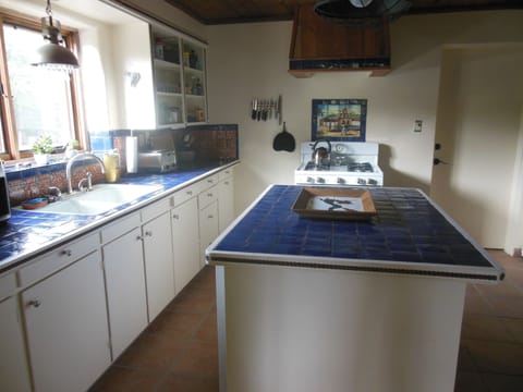 Well Equipped Kitchen With Lots Of Workspace