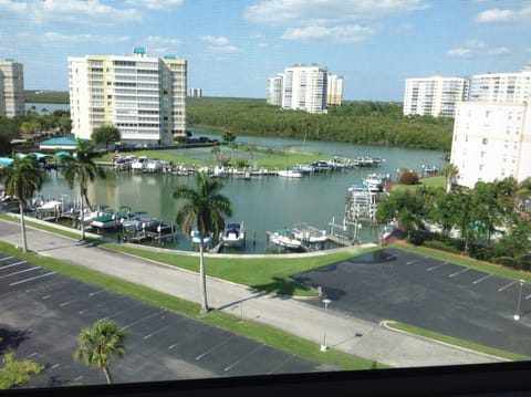 View from living room lanai