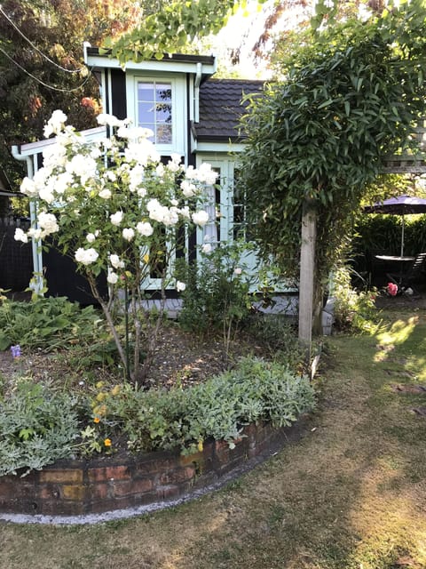 It is a summer garden.