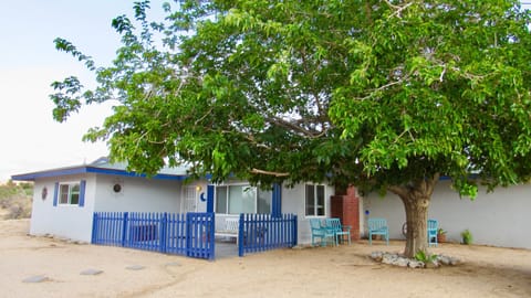 Our Mulberry Tree greats you with her natural shade 