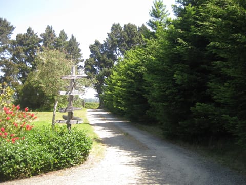 Driveway and Adjacent Meadow