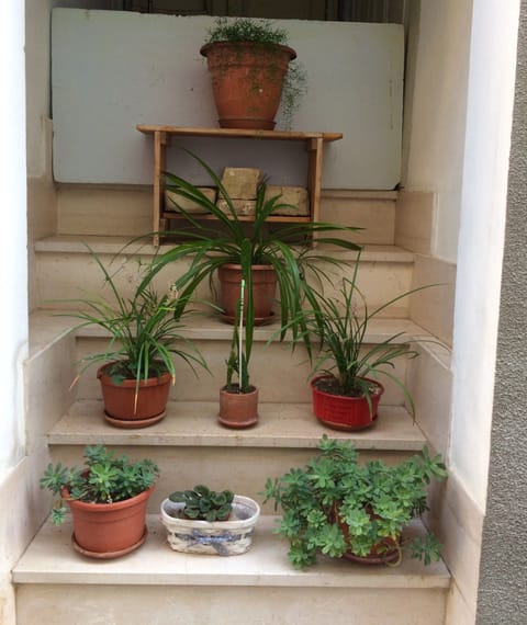 One of our neatly kept doorways 