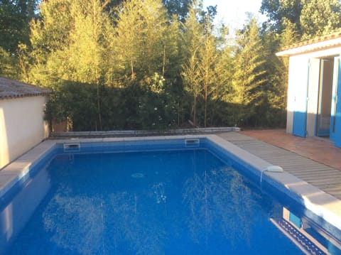 Enjoy an early morning swim 