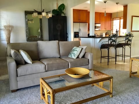 Living room queen pullout sofa bed. New Nov. 2018