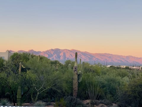 the mountains are ever changing