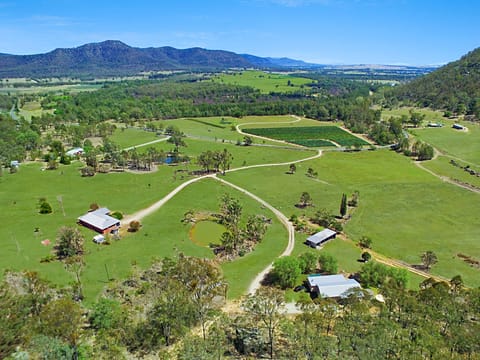 Aerial view of Rosa and Rosamund Houses, overlooking Greenway Wines