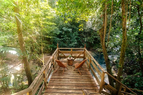 One of our observation decks overlooking the creek.