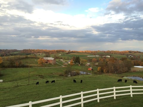 This is our view from the deck.