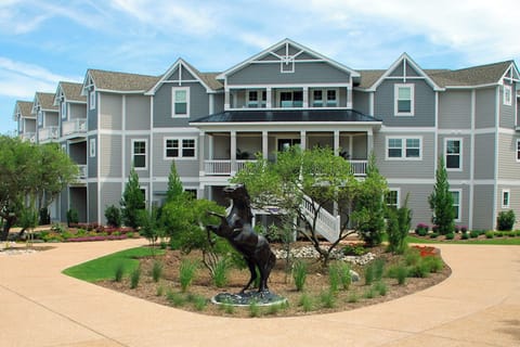 Welcome to The Black Stallion