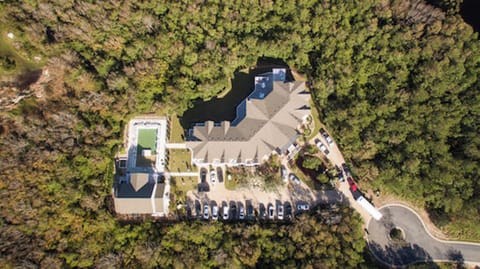 Aerial View of The Black Stallion