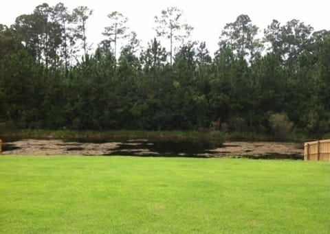 View of Conservation Area from Lanai