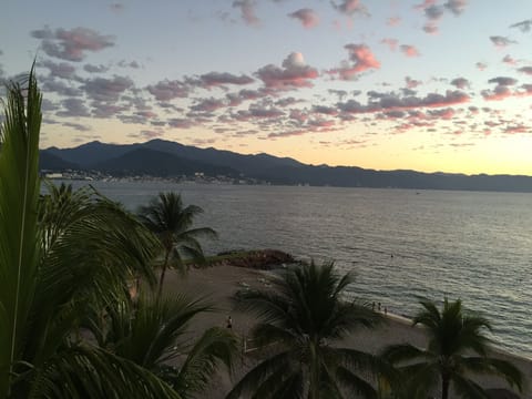 looking out window of room in am