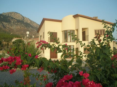Villa  - rear poolside, with mountains behind