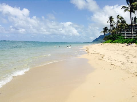 Beachfront looking south.