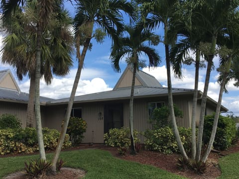 Palm trees and sunshine all around!