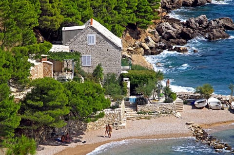 Beachfront accommodation surrounded by lush vegetation ensures maximum privacy