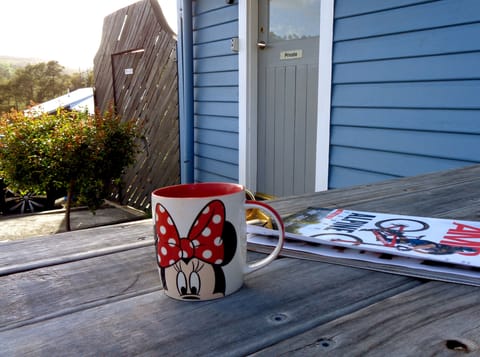 Private entrance courtyard and bbq area.