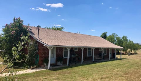 Approach from the driveway to the house