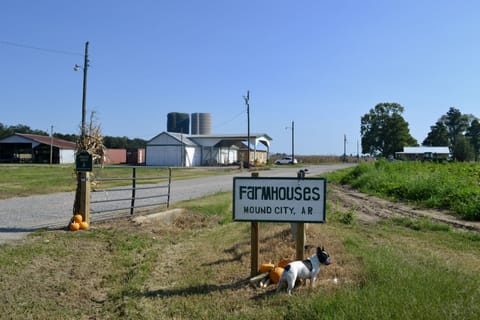 Entrance from Dacus RD. (looking south) The house is second on the right. 