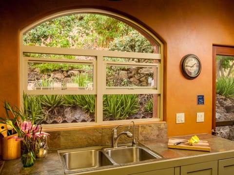 View the unique and lush botanical garden outside the kitchen