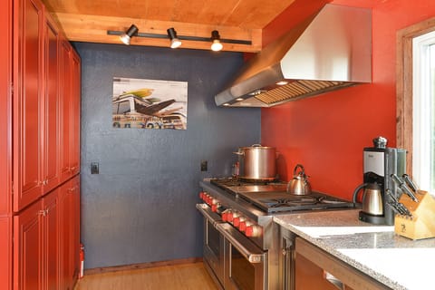 Professional grade stove and oven.