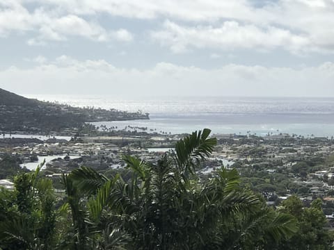 Ocean View From Cottage