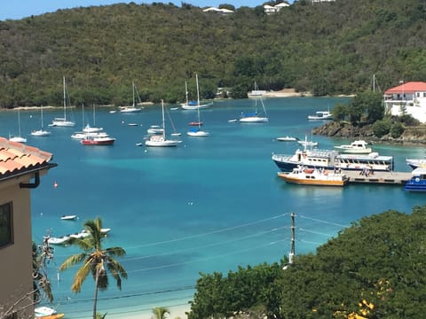 Views of Cruz Bay from Battery Hill pool deck.