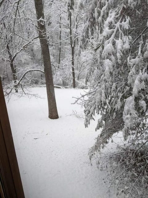 Rare Snow View in Back Yard from Jan 16, 2022