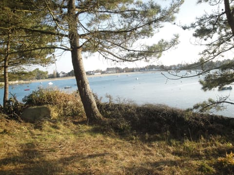 Bright house with garden and terraces. House in Concarneau