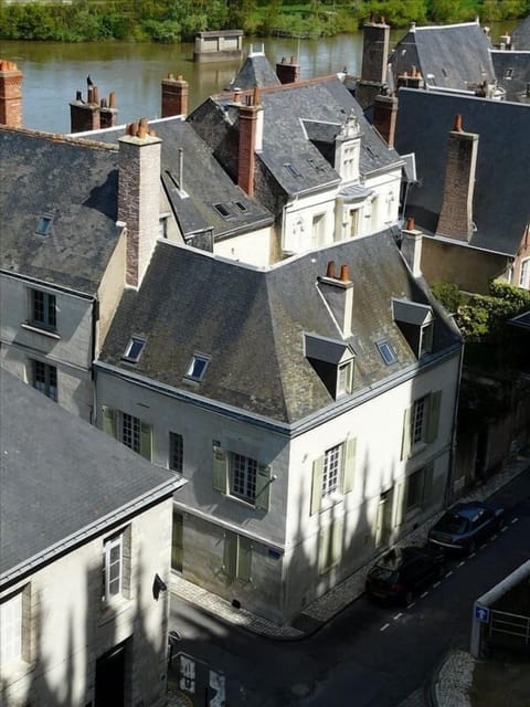 View on Villaconcorde taken from the terrace of the Royal castle of Amboise.