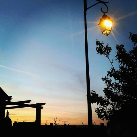 the view from the patio