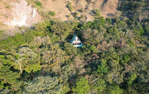 Nestled in the forrest, quiet and private, yet near where you park
