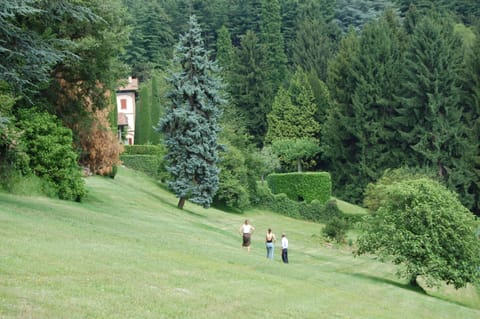 Taking a stroll in the large park with its huge old trees