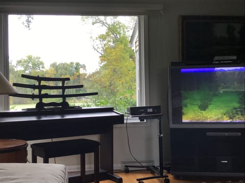 Living Room North side