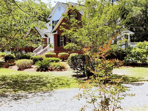 Spring lantana in bloom view. 