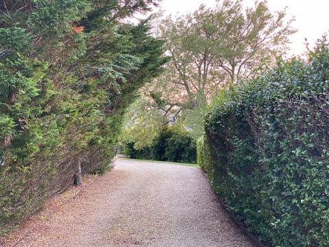 Private Secluded Driveway