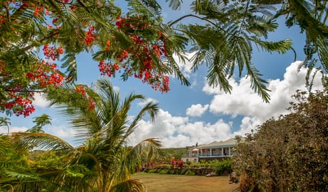 View of the house from the garden