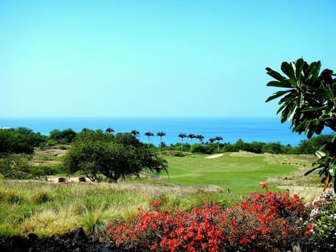 Panoramic unobstructed views of the ocean