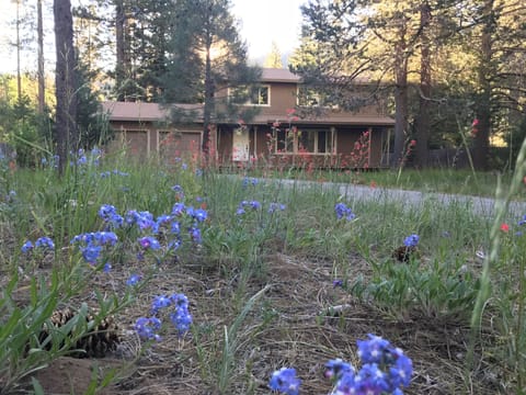 A peaceful acre of Tahoe surrounded by forest service and county land.