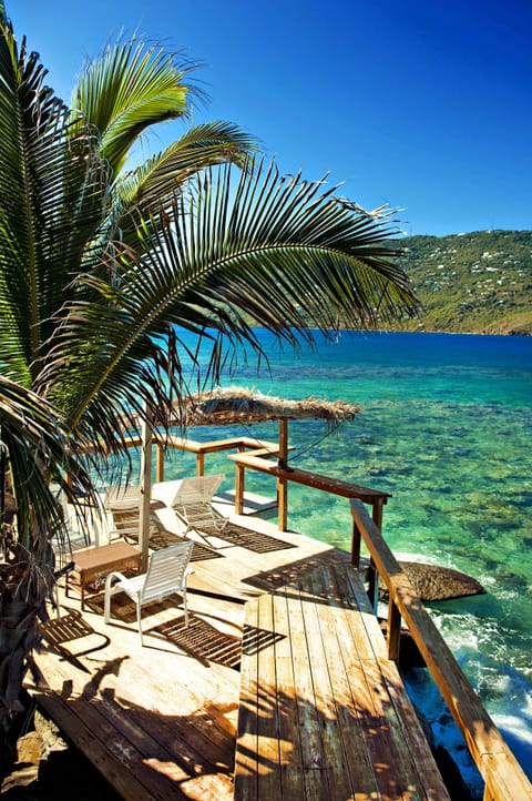 Fun in the sun...or shade!