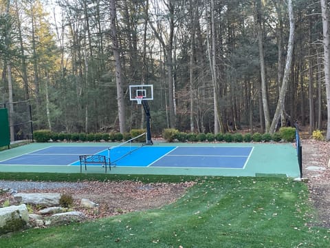 Pickleball and basketball court