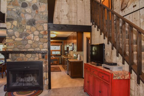 Enjoy Roku & a DVD player while warming yourself by the fire!