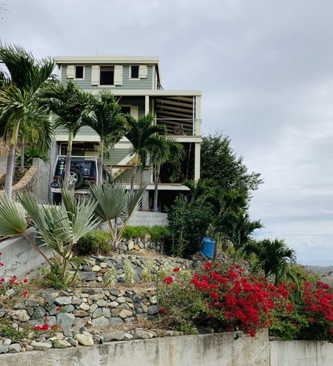 Garden and palms welcome you