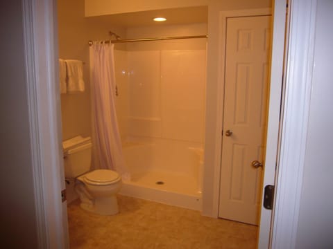 Large full bath in basemt w walk-in shower