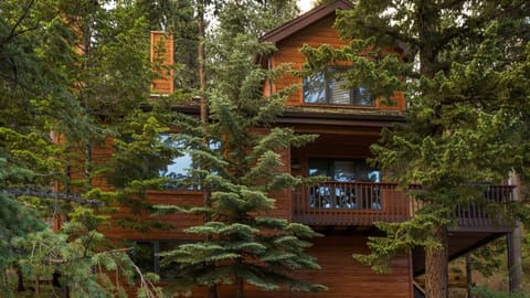 Beautiful Setting Among the Evergreens