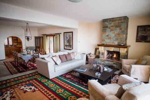 The ground floor of the house with the living room, the dining room and the kitchen in the background